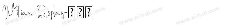 William Display字体转换